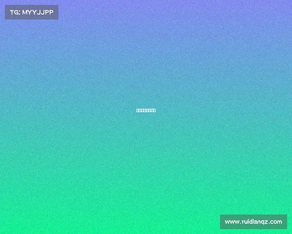 福建省拳击锦标赛